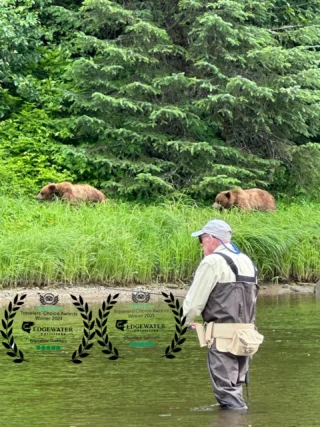 Brown bear standing in Alaska river