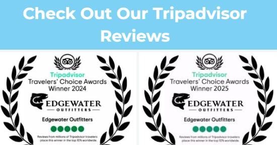 Tripadvisor Travelers Choice Award Winner 2024 and 2025 — Edgewater Outfitters