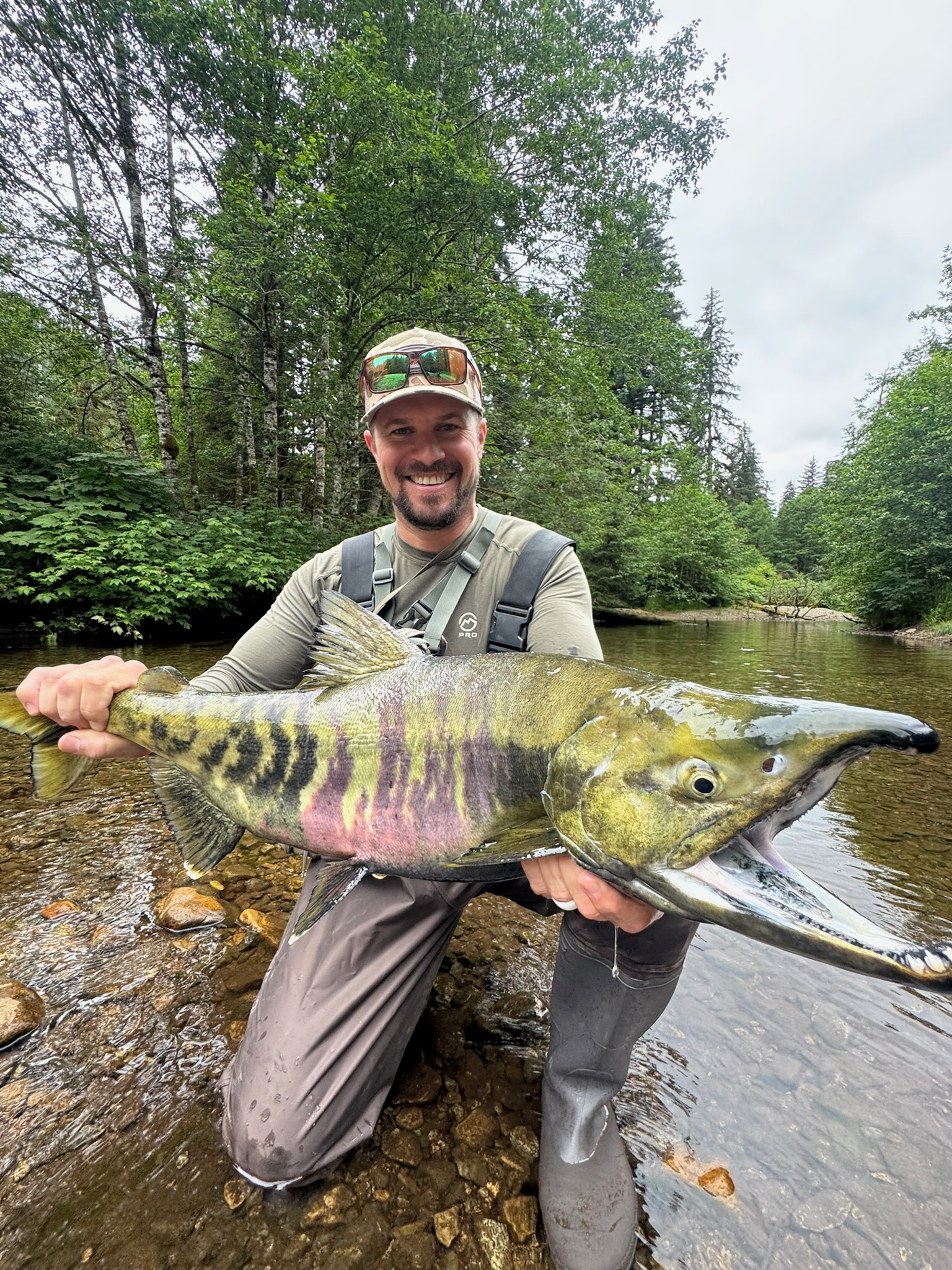 Chum/Dog Salmon